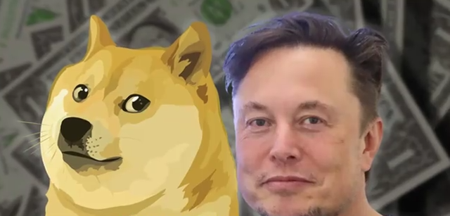 କୁକୁର AI ପରିମାଣିକ